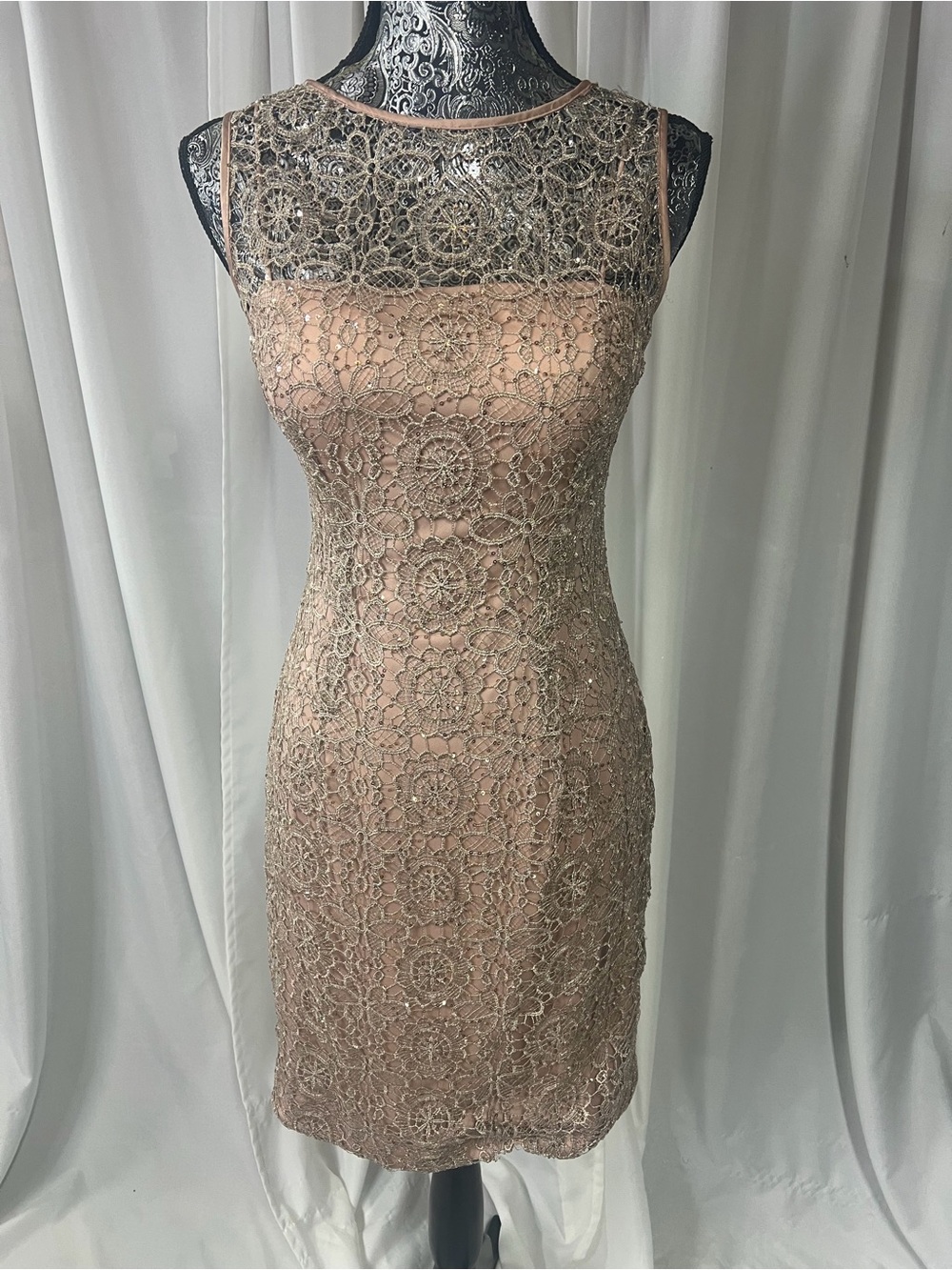 Adrianna Papell Blush Lace Sheath Dress with Metallic Accents